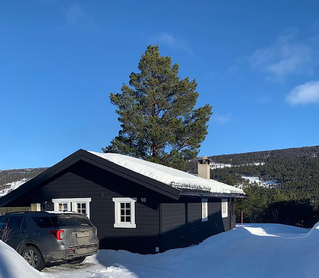 Uvdalhytta - Close To Cross Country And Downhill Skiing Sonstebo 외부 사진