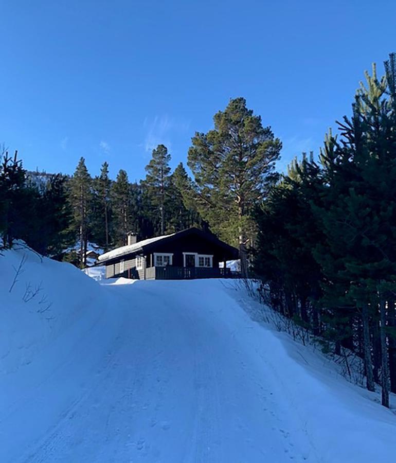 Uvdalhytta - Close To Cross Country And Downhill Skiing Sonstebo 외부 사진